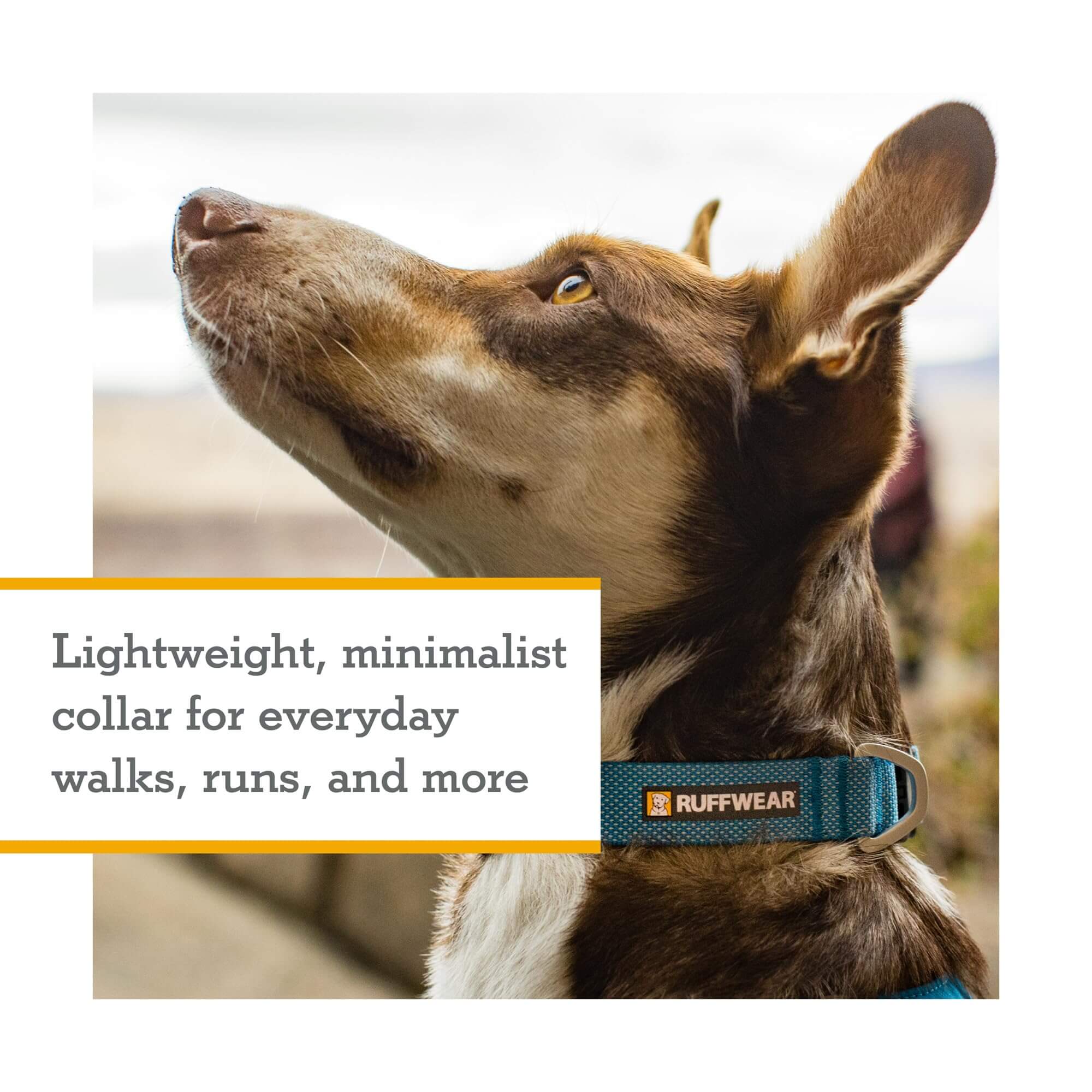 RUFFWEAR Hi & Light Hundehalsband