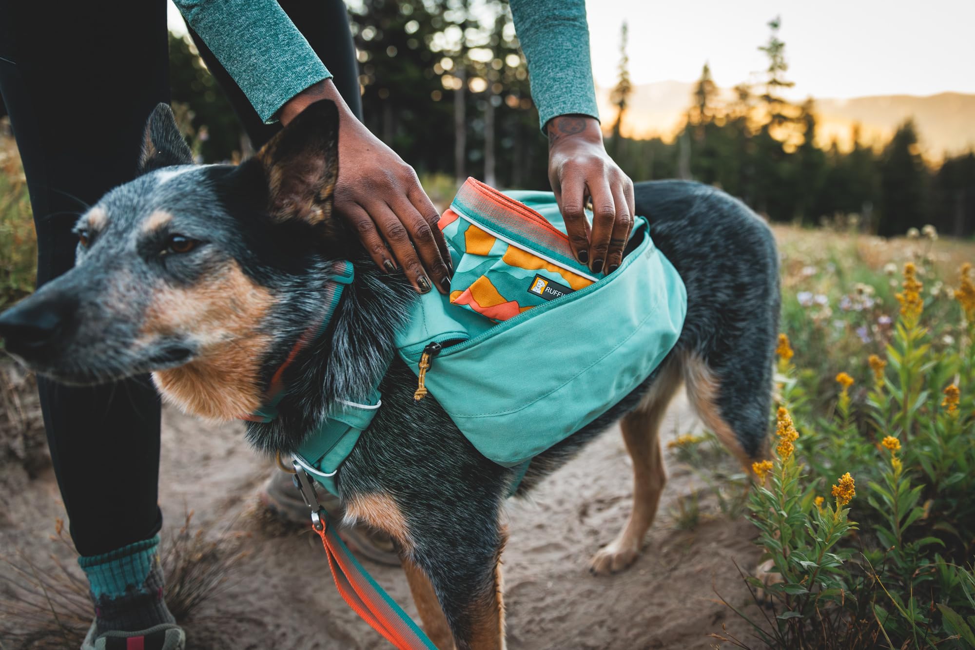 Ruffwear Quencher Travel Reise-Hundenapf