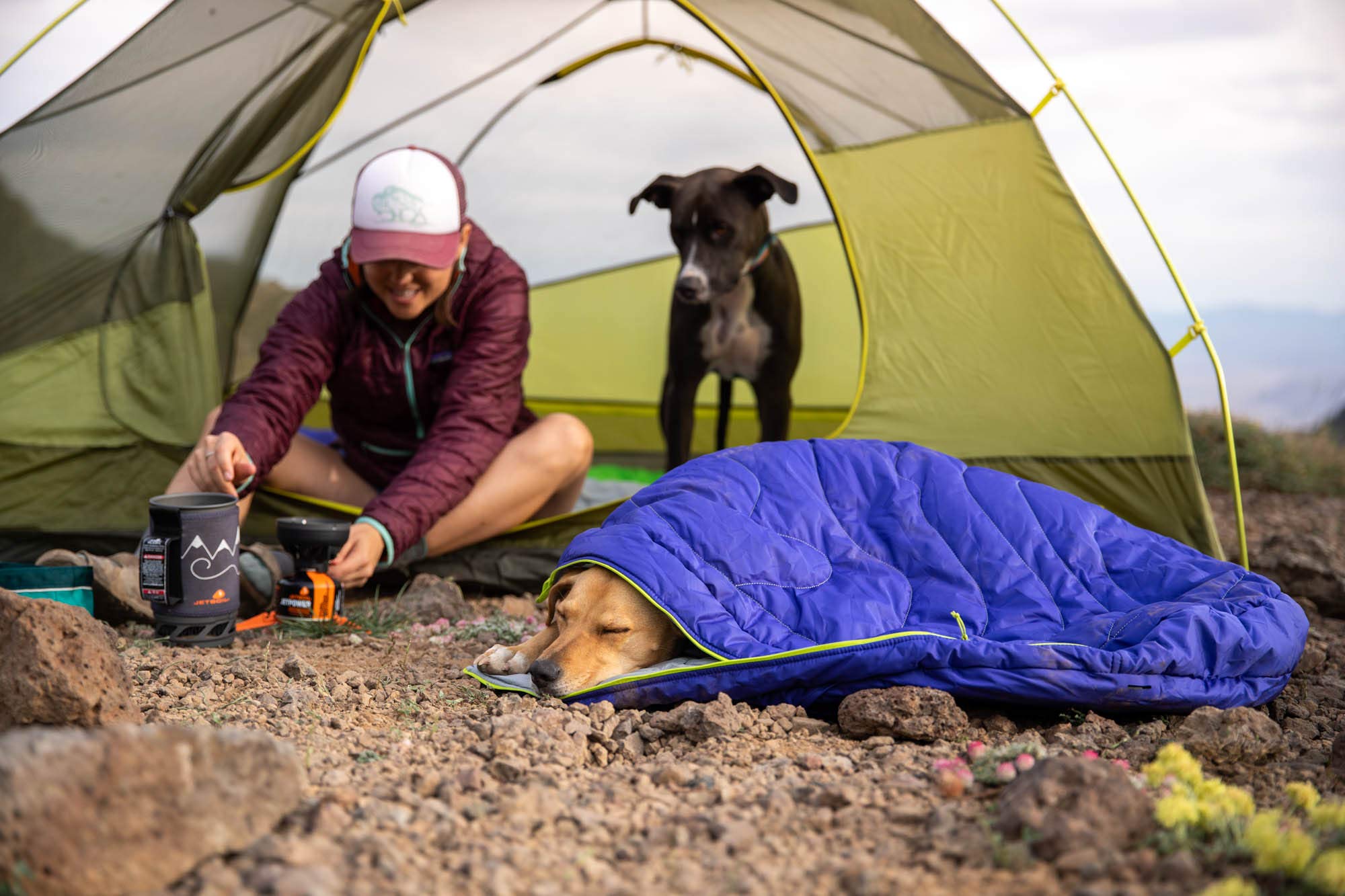 Ruffwear Highlands Hundeschlafsack